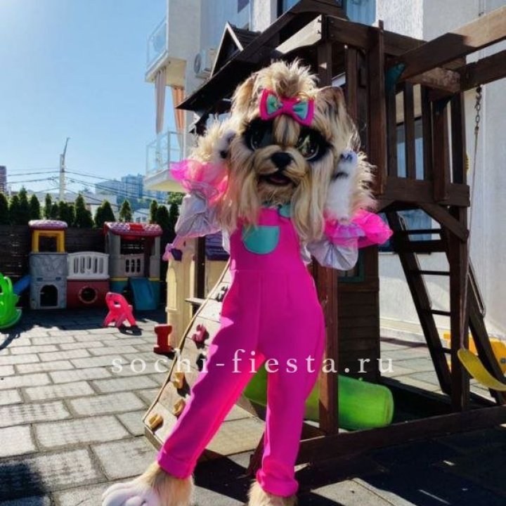 Аниматор Гламурная Собака в Великом Новгороде