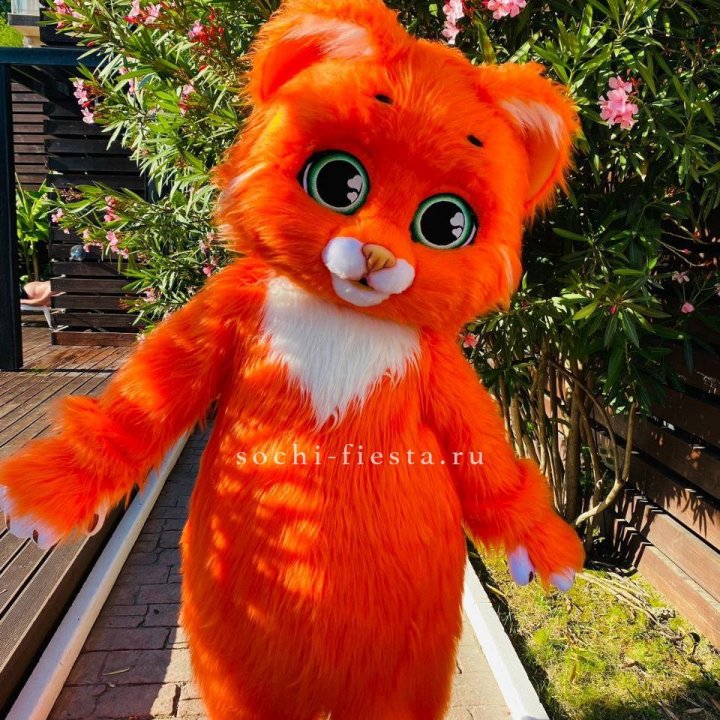 Аниматор Котик в Великом Новгороде