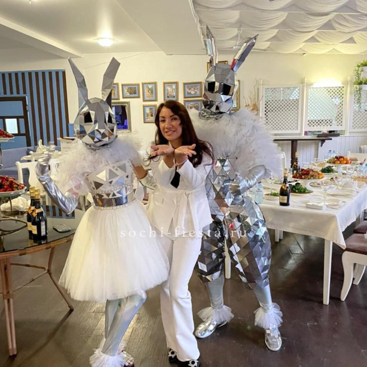 Аниматор Зеркальный заяц в Великом Новгороде