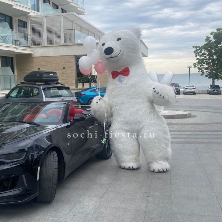 Аниматор Белый Медведь в Великом Новгороде