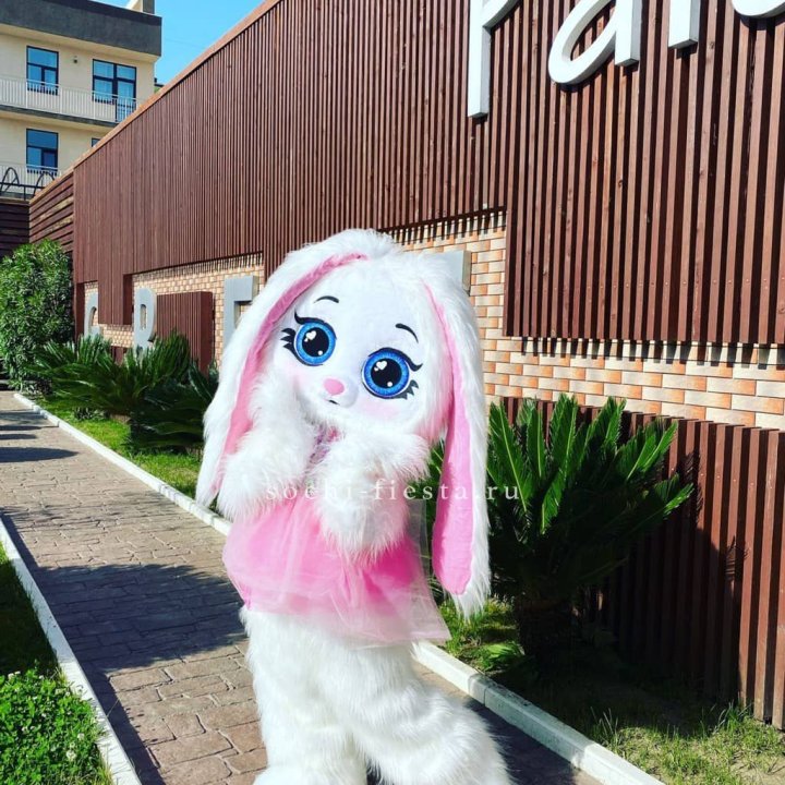 Аниматор Зайка в Великом Новгороде