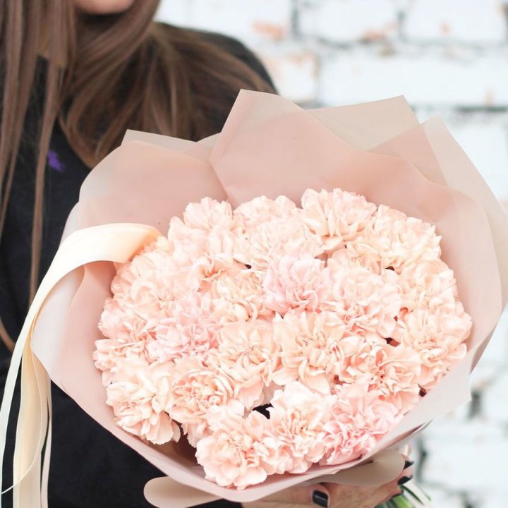 Диантусы №2 в Великом Новгороде