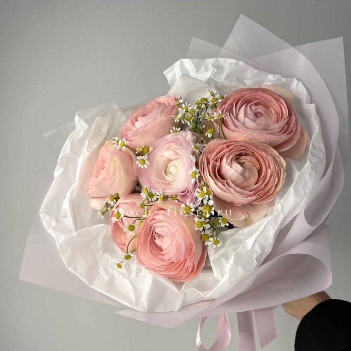 Ранункулюсы с ромашками в Великом Новгороде