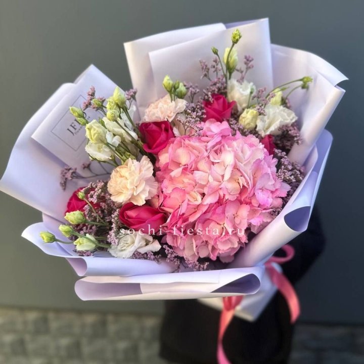 Гортензия "Перпил" в Великом Новгороде