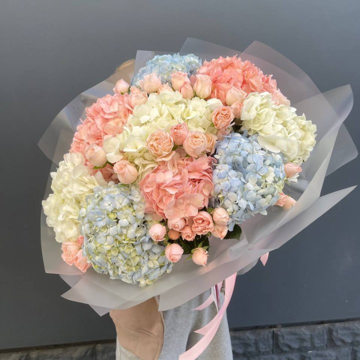 Дуо гортензии и бомбастик в Великом Новгороде