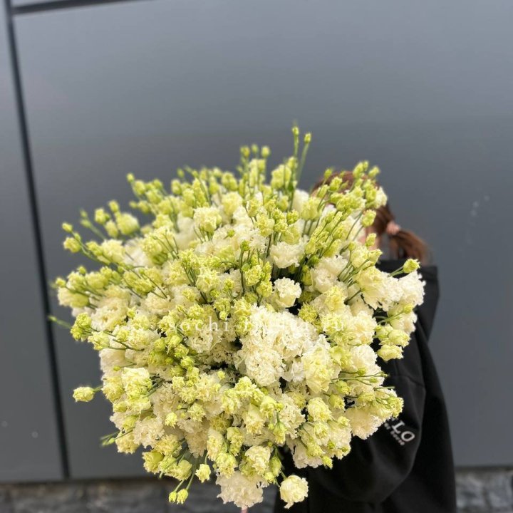 51 белая эустома в Великом Новгороде