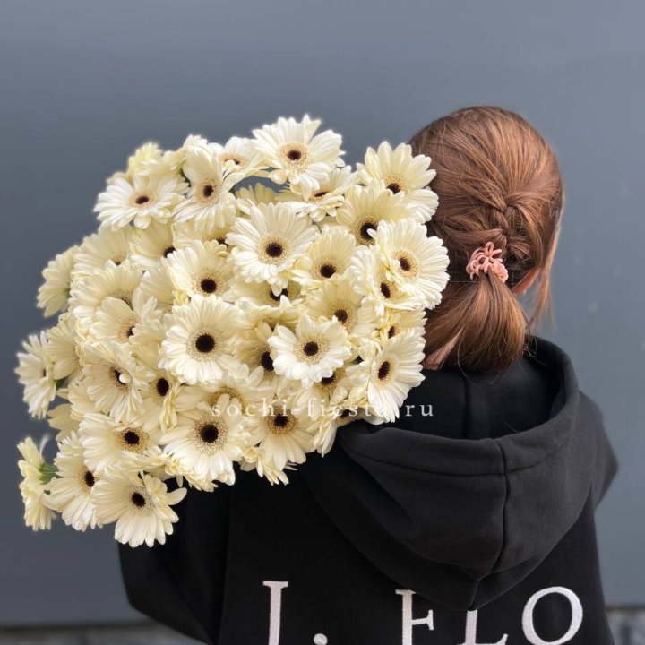 51 гербера в Великом Новгороде