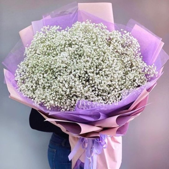 Облако белых гипсофил в Великом Новгороде