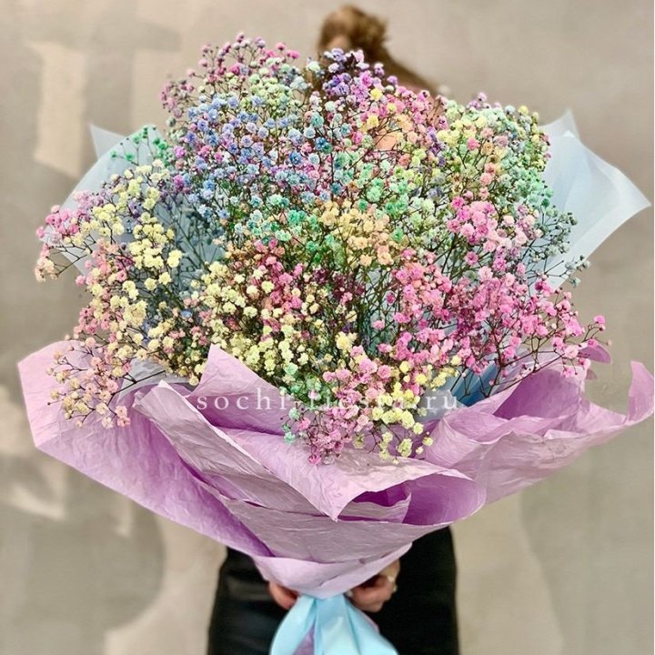 Радужные гипсофилы №2 в Великом Новгороде