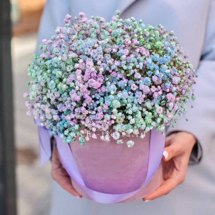 Гипсофилы в шляпной коробке "Кандилайт" в Великом Новгороде