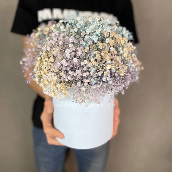 9 Радужных гипсофил в шляпной коробке в Великом Новгороде