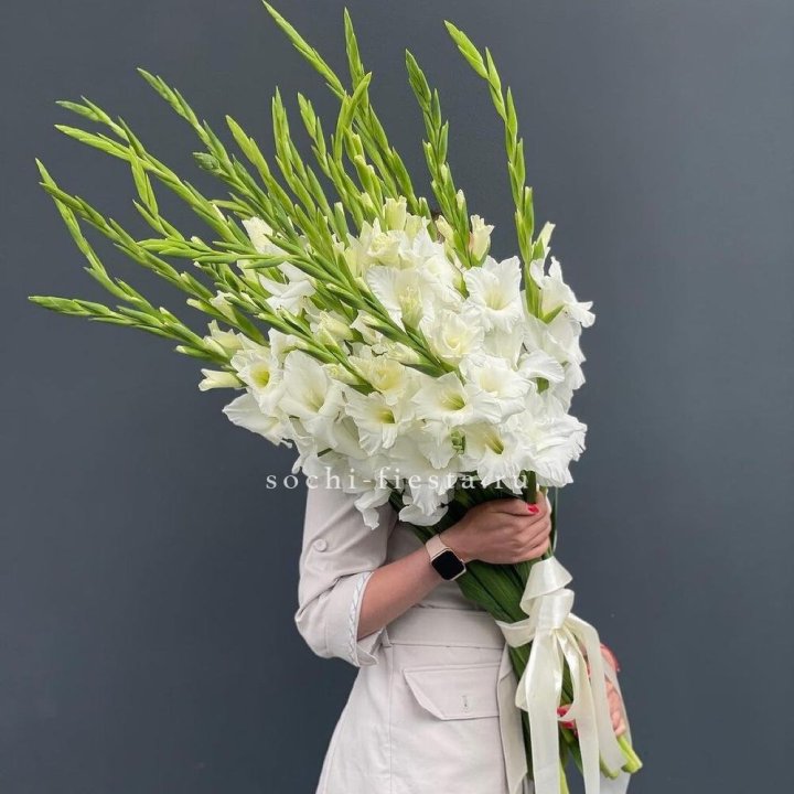 19 белых гладиолусов под ленту в Великом Новгороде