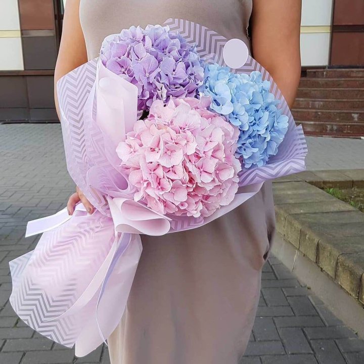 Букет гортензий "Пуф" в Великом Новгороде