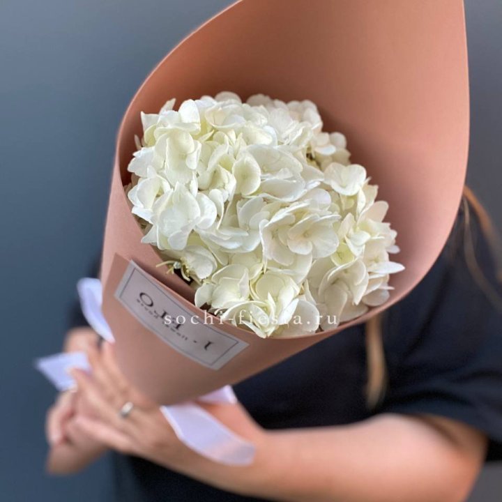 Гортензия в конверте в Великом Новгороде