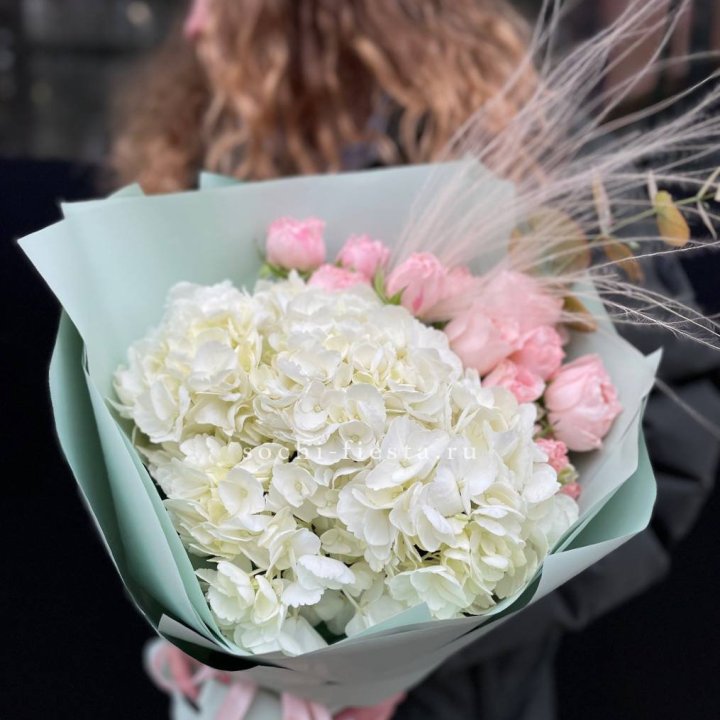 Гортензия "Жасмин" в Великом Новгороде