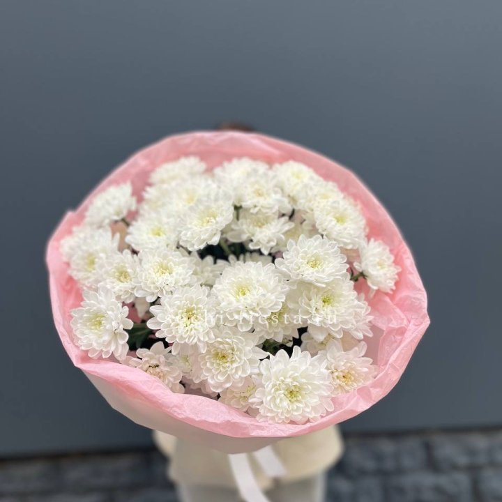  5 хризантем  с доставкой в Великом Новгороде