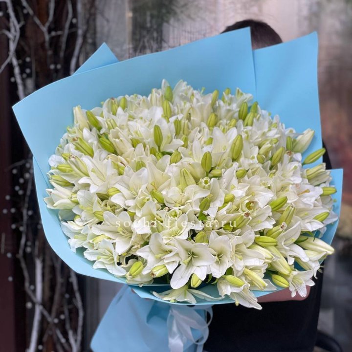 51 лилия в оформлении в Великом Новгороде