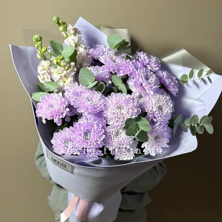 Дуо хризантема и маттиола в Великом Новгороде