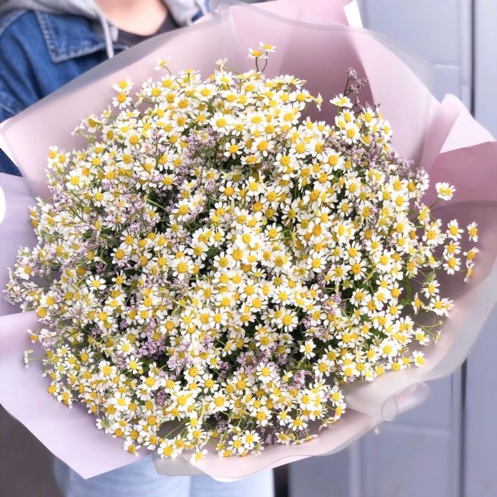 Букет ромашек №1 в Великом Новгороде