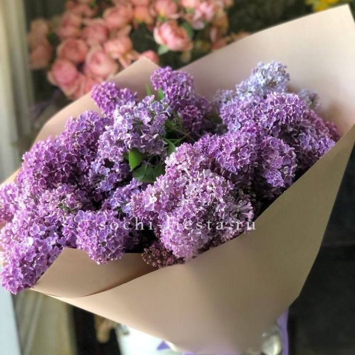 Букет сирени №2 в Великом Новгороде