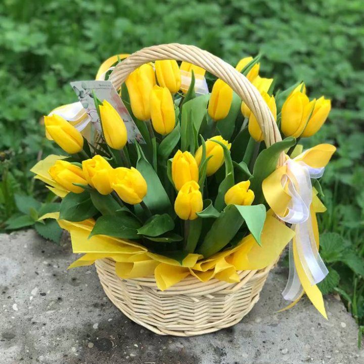 25 желтых тюльпанов в корзине в Великом Новгороде