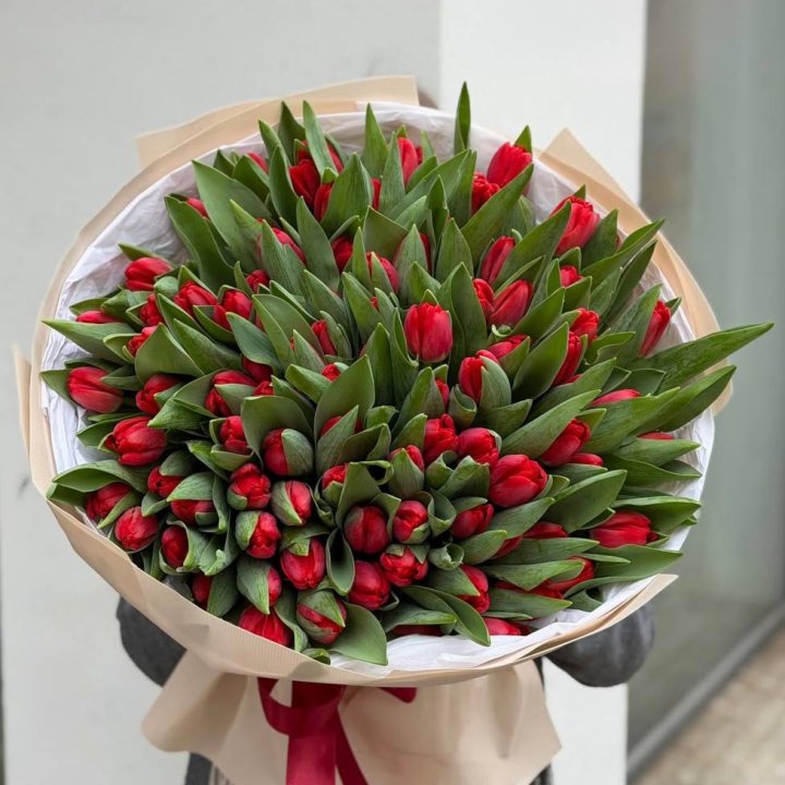 101 красный тюльпан в Великом Новгороде