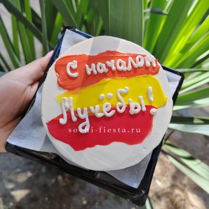 Бенто-торт "С началом учёбы"" в Великом Новгороде