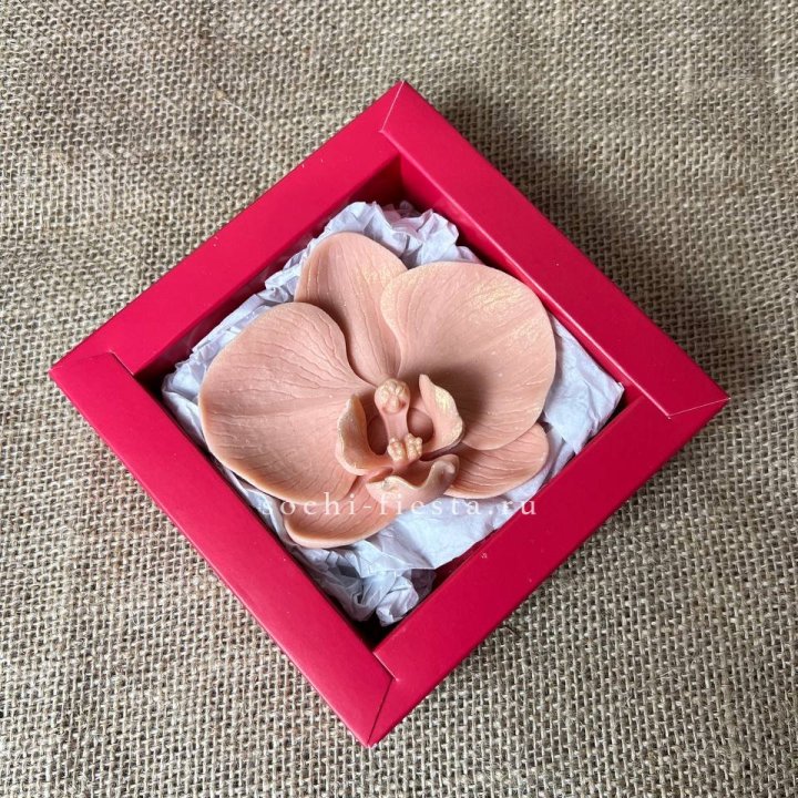 Бельгийский шоколад Орхидея в Великом Новгороде