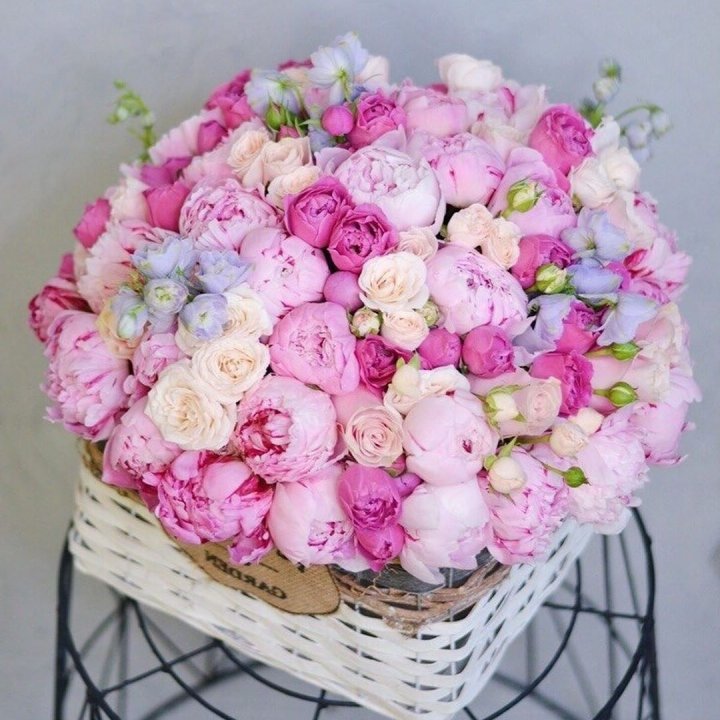 Композиция "Черри" в Великом Новгороде