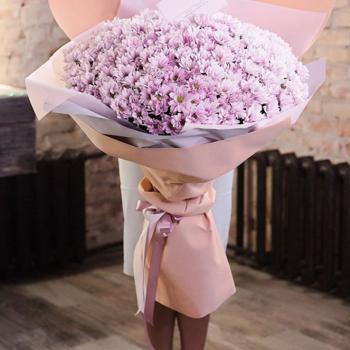 Облако хризантем №1 в Великом Новгороде