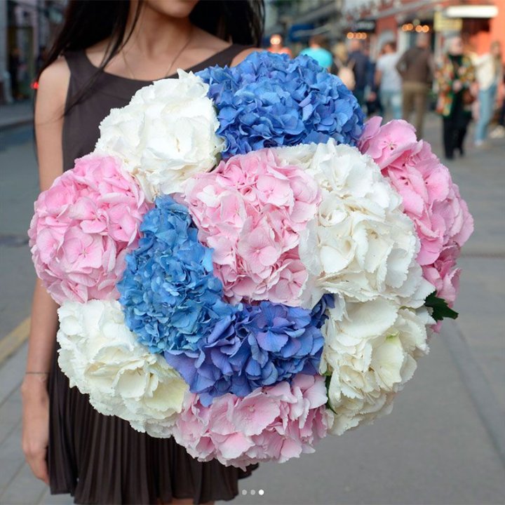 Букет гортензий "Инь-Янь" в Великом Новгороде