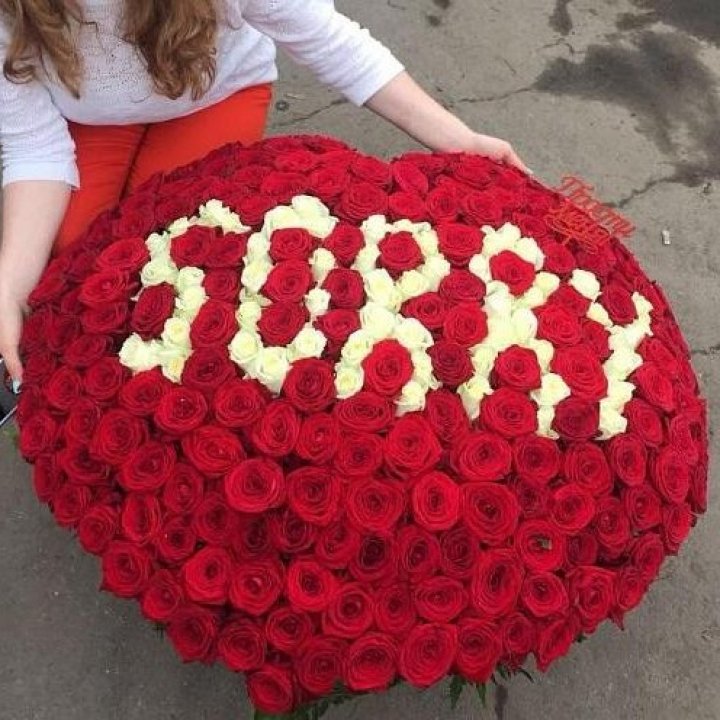 351 роза "Прости меня" в Великом Новгороде