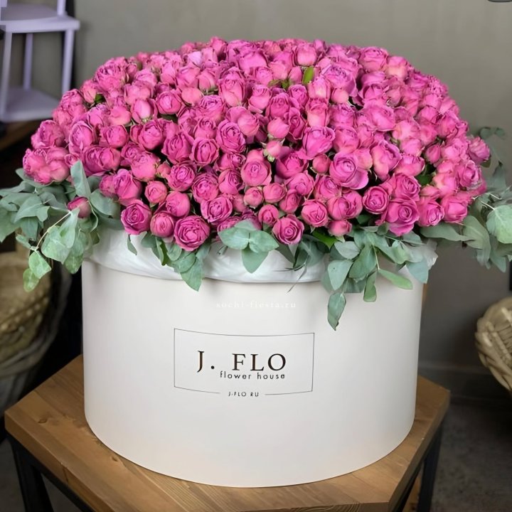 Цилиндр с Мисти Бабблс  в Великом Новгороде