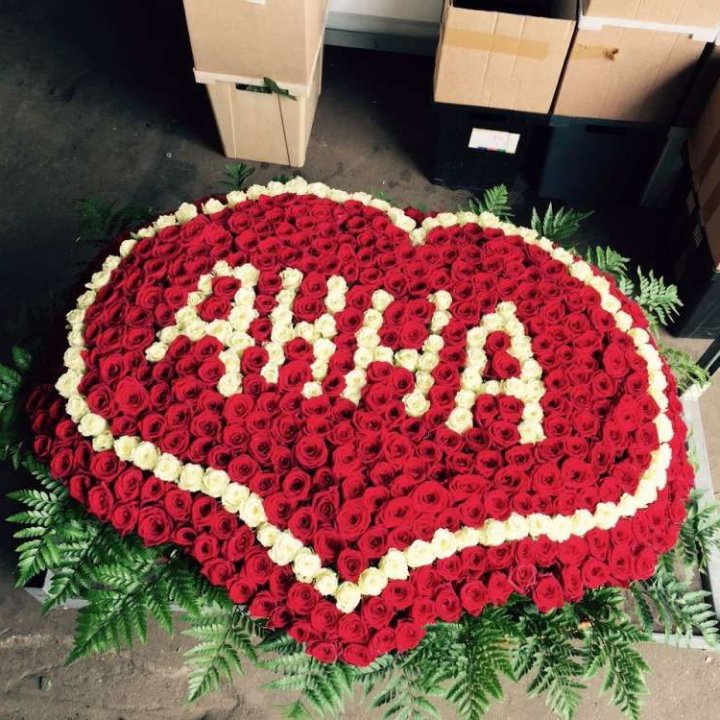 555 роз с именем в Великом Новгороде