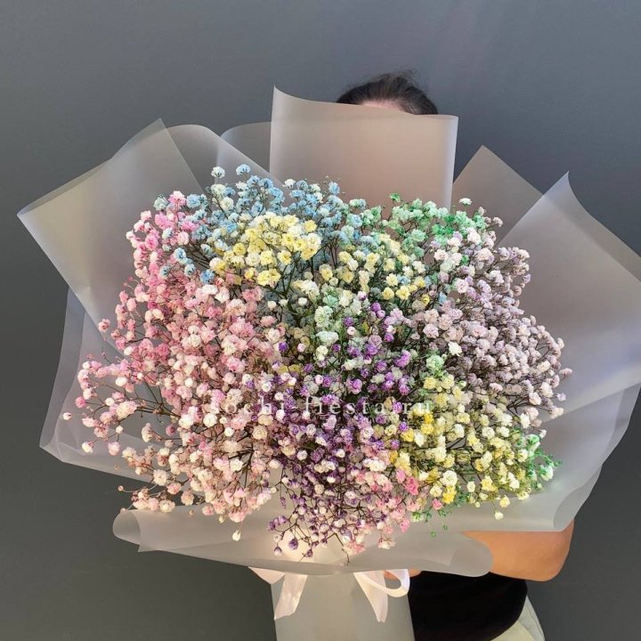 Радужные гипсофилы  в Великом Новгороде