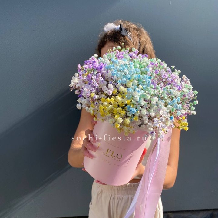 Радужные гипсофилы в шляпной коробке в Великом Новгороде