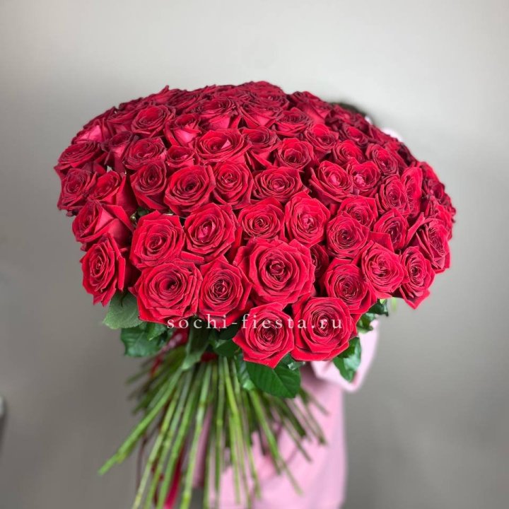 101  голландская роза  в Великом Новгороде