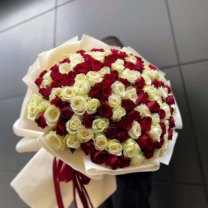 101 высокая импортная роза  в Великом Новгороде