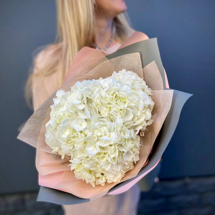 Букет из трёх белых гортензий в Великом Новгороде