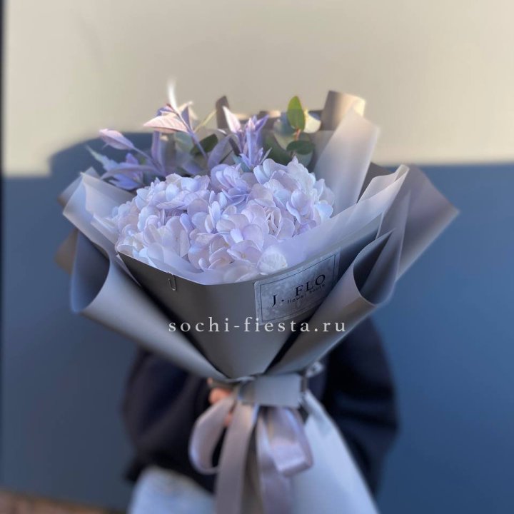 Гортензия "Виолета" в Великом Новгороде