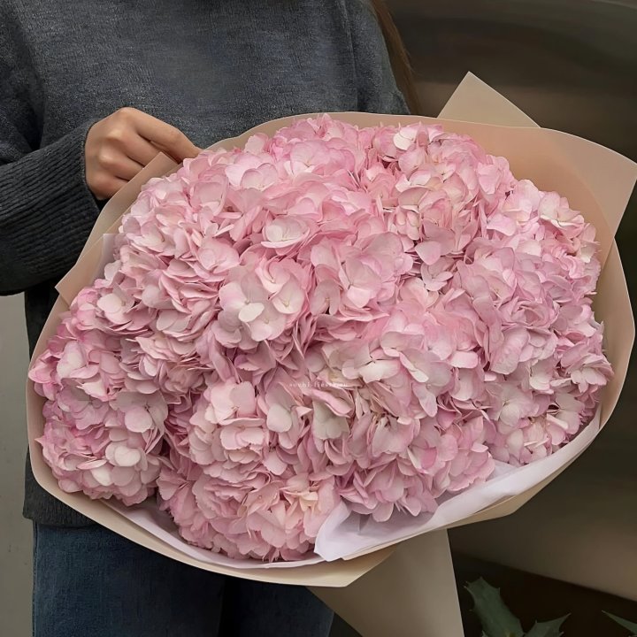 Гортензия  "РОЗЕ" в Великом Новгороде