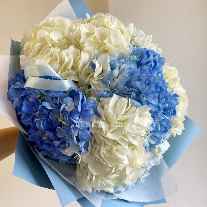 Букет гортензий "Голубая лаза" в Великом Новгороде