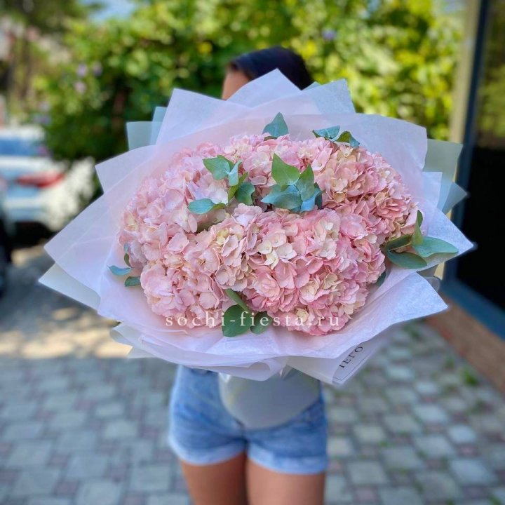 5 розовых гортензий  в Великом Новгороде