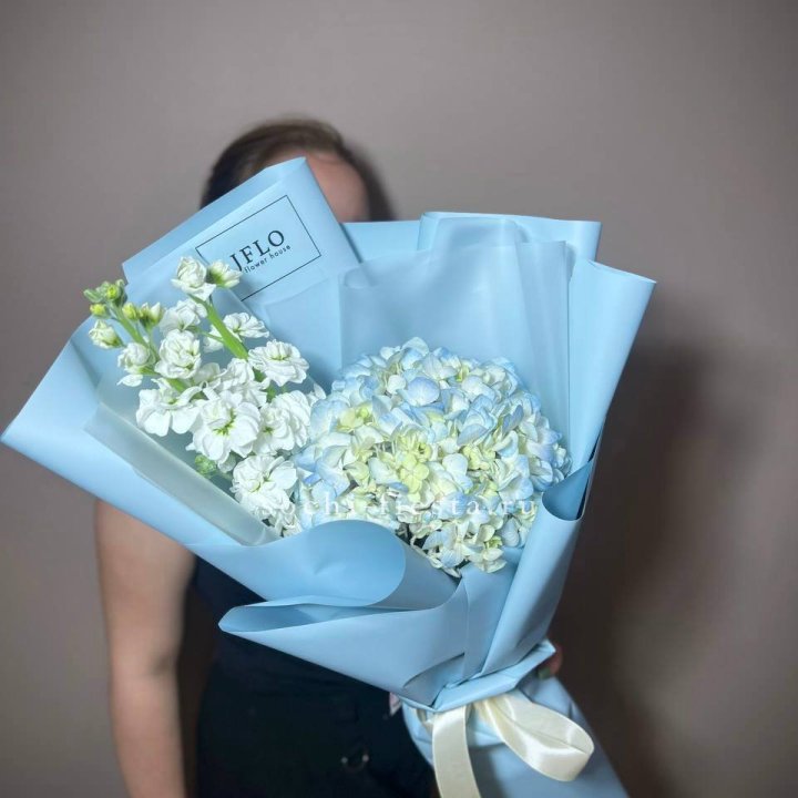 Гортензия голубая с маттиолой в Великом Новгороде