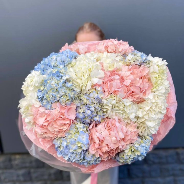 19 гортензий микс в Великом Новгороде