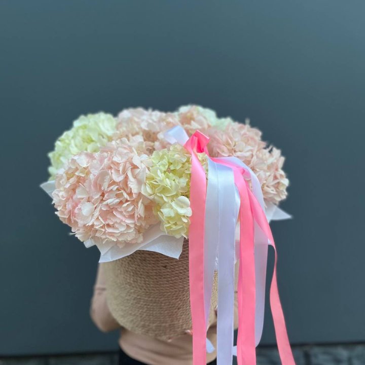 7 гортензий в кашпо в Великом Новгороде