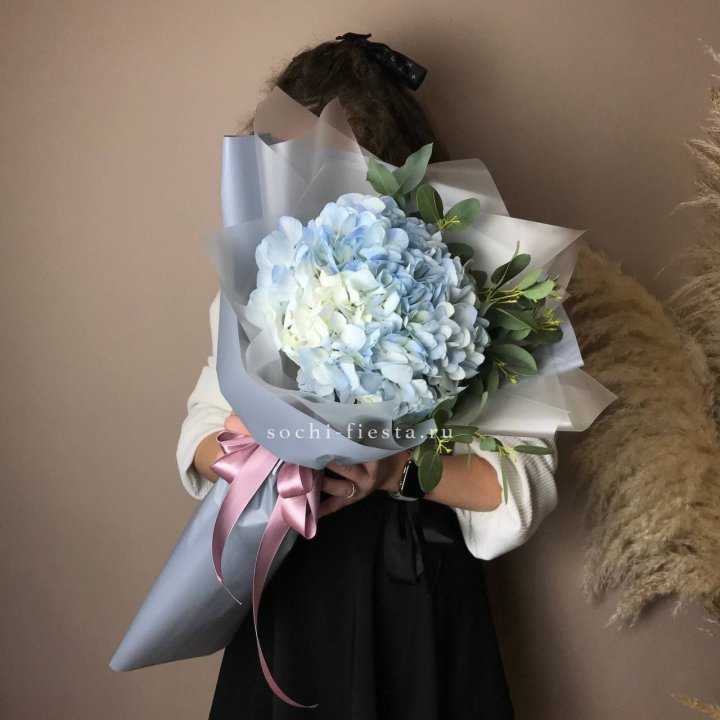 Гортензия Уно в Великом Новгороде