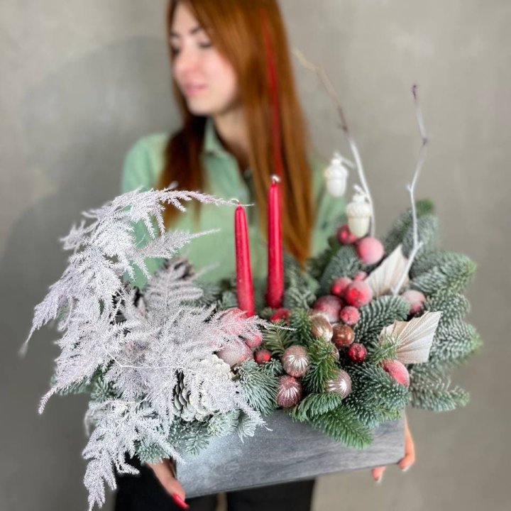 Бокс красный с нобилисом в Великом Новгороде