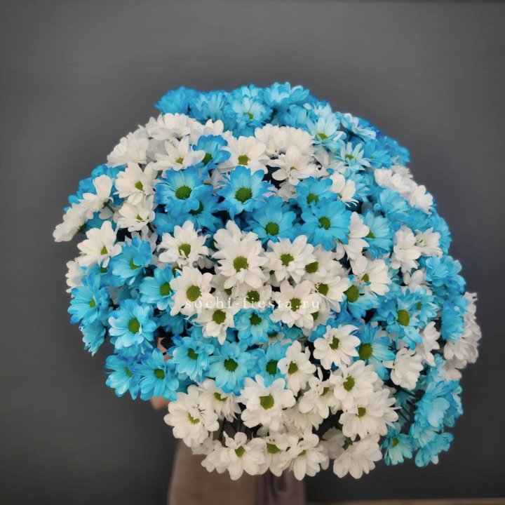  Букет хризантем микс в Великом Новгороде