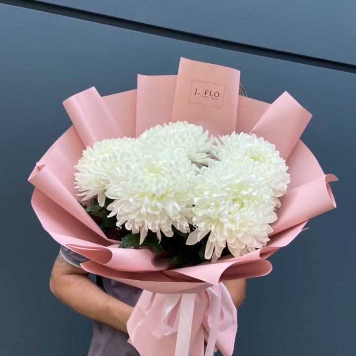 Профитроли №2 в Великом Новгороде